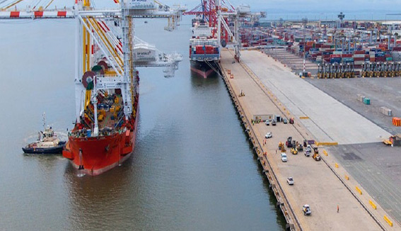 DPWA welcomes new cranes