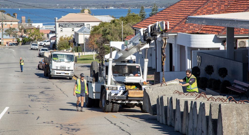 Coastal Cranes assists classic Albany community event