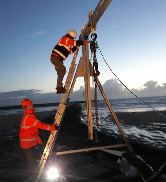 Portable gantry used to save seal pup